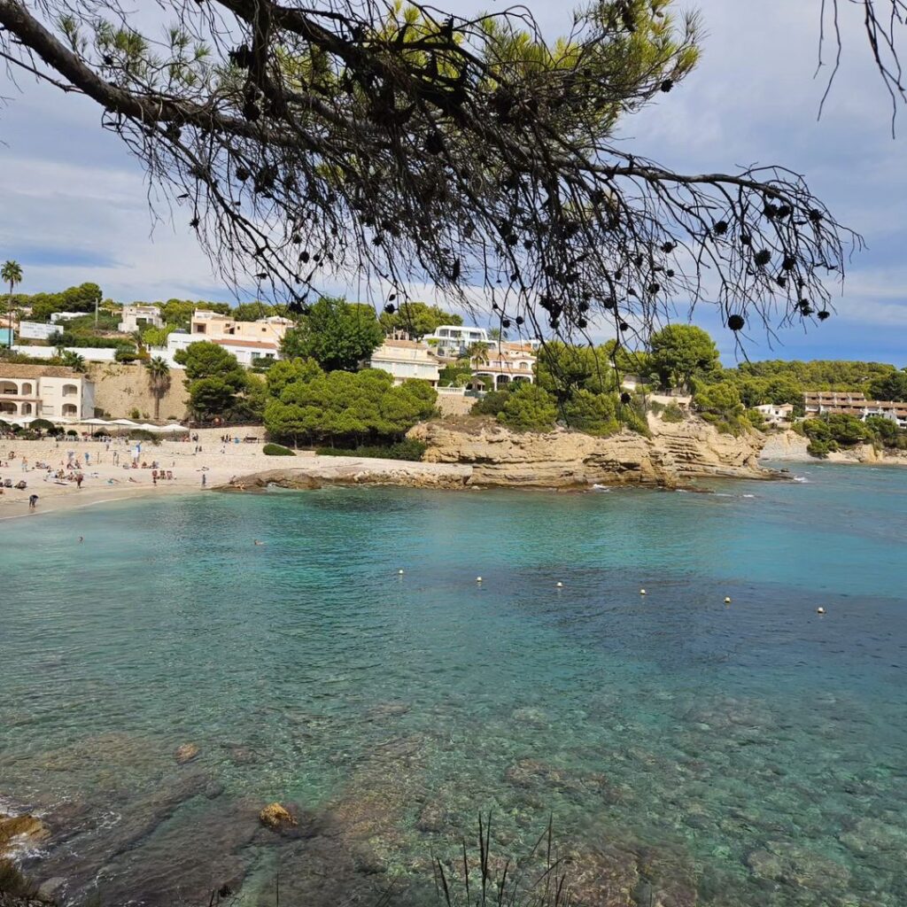 cala de la fustera, ie benissa beach on a cloudy day. a tree branch shadows over the picture 