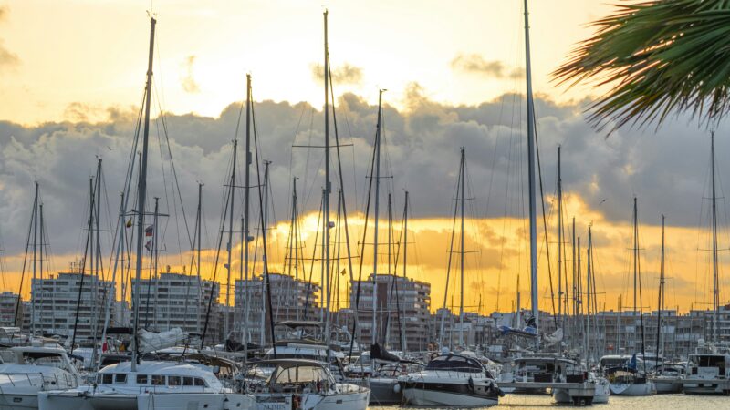 torrevieja harvour with many boats and yachts at sunset